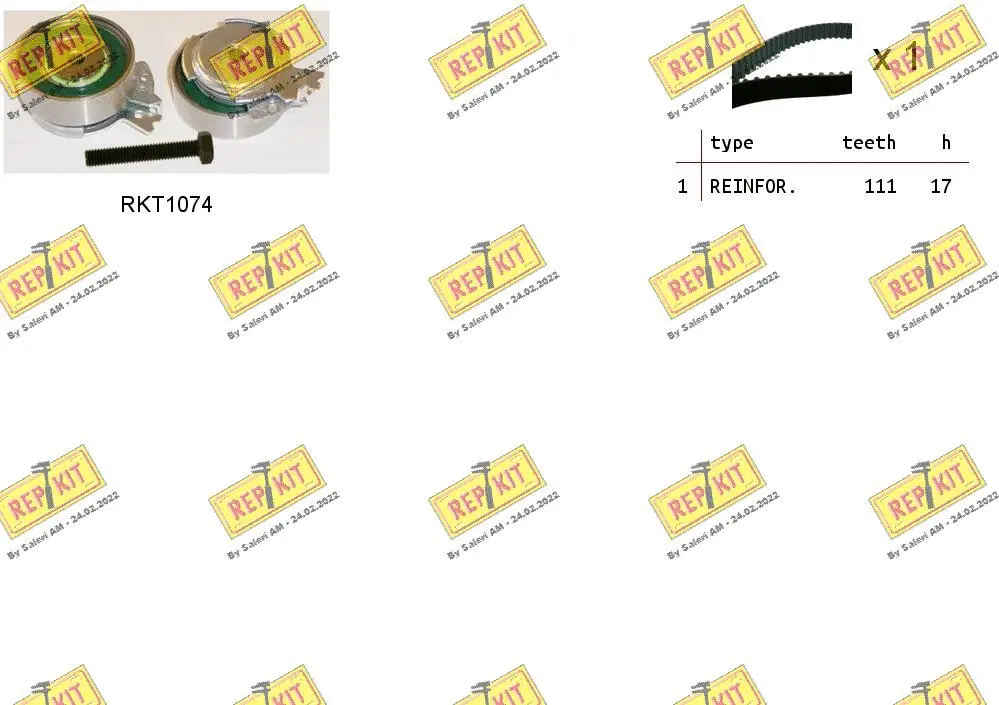 Timing Belt Kit (RKTK0813)