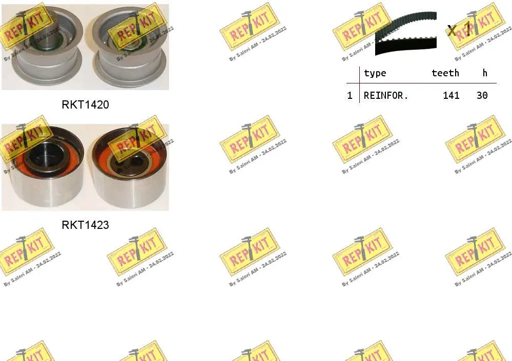 Timing Belt Kit (RKTK0892)