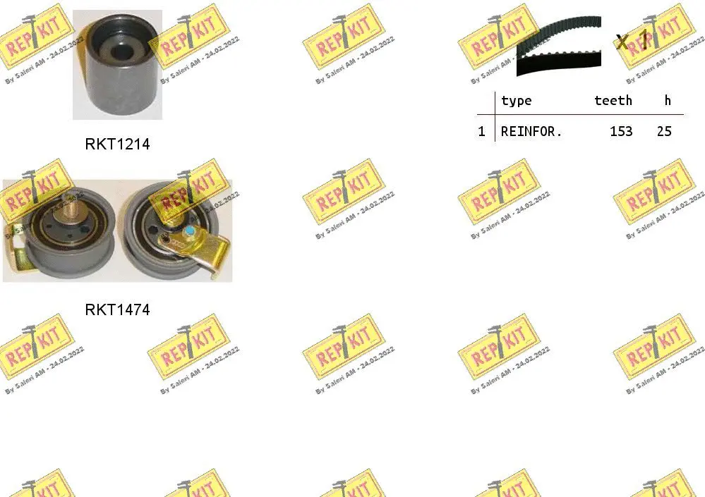 Timing Belt Kit (RKTK0910)