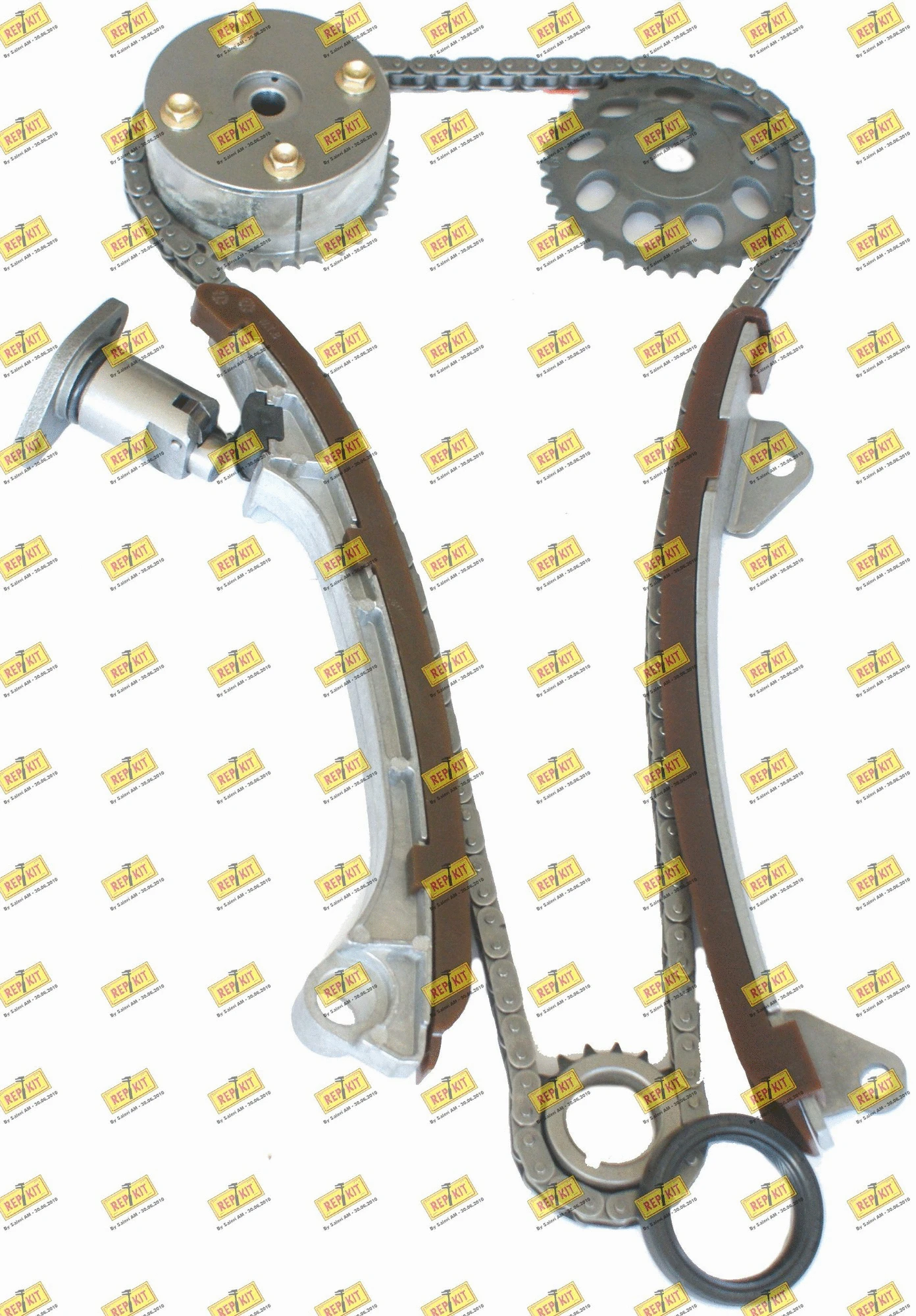 Timing Chain Kit (RKT8911K)