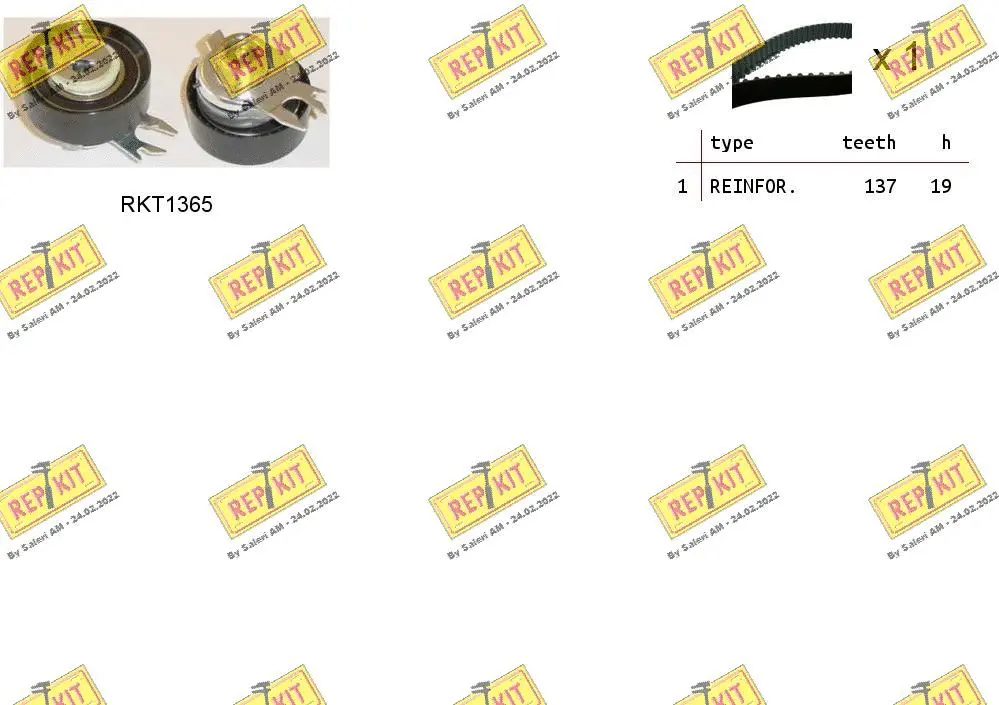 Timing Belt Kit (RKTK0854)