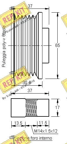 Alternator Freewheel Clutch