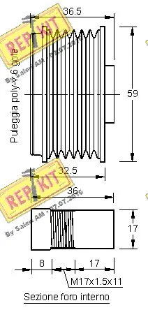 Alternator Freewheel Clutch