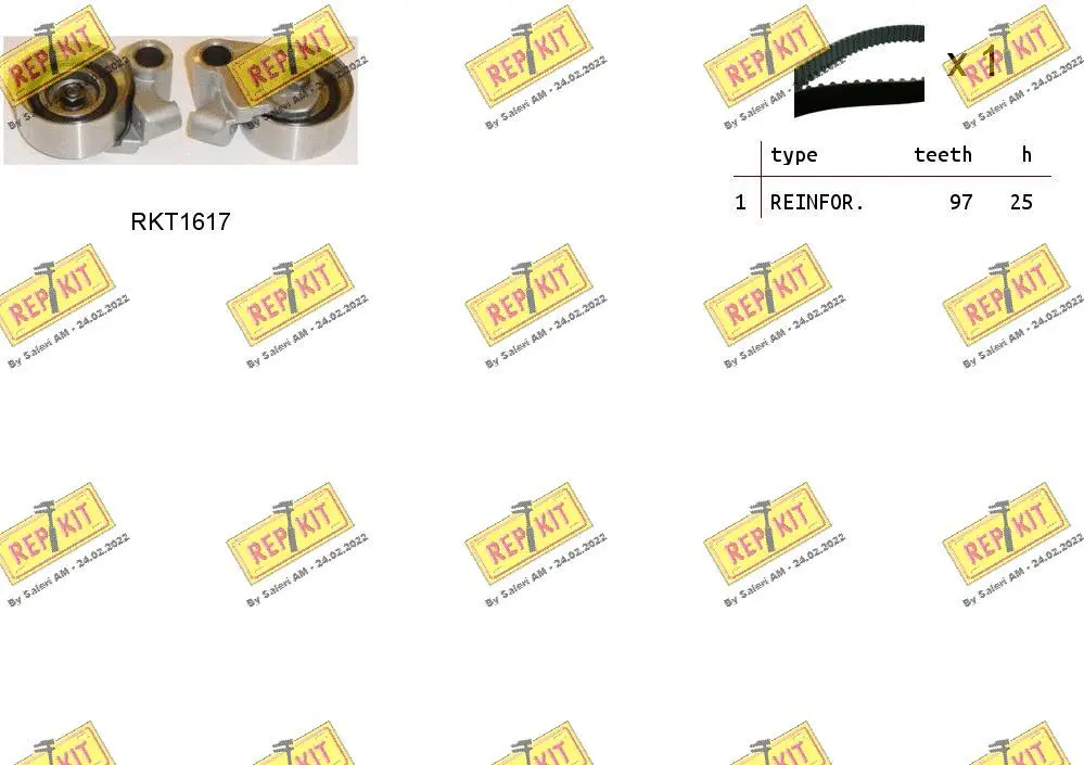 Timing Belt Kit (RKTK1066)