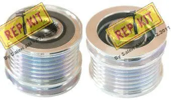 Alternator Freewheel Clutch (RKT2069)