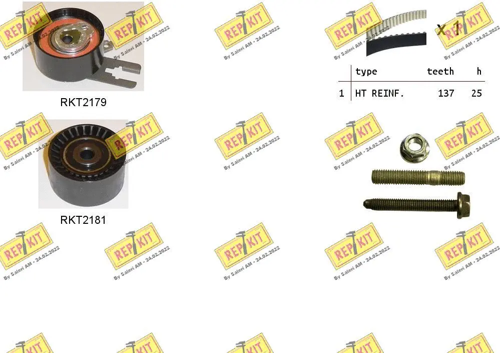 Timing Belt Kit (RKTK1074)