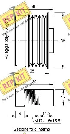 Alternator Freewheel Clutch