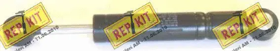 Deflection/Guide Pulley, V-ribbed belt (RKT2831)