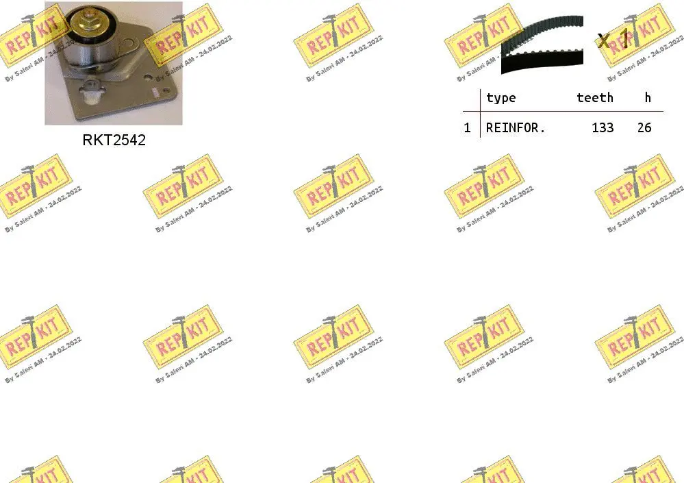 Timing Belt Kit (RKTK0931)