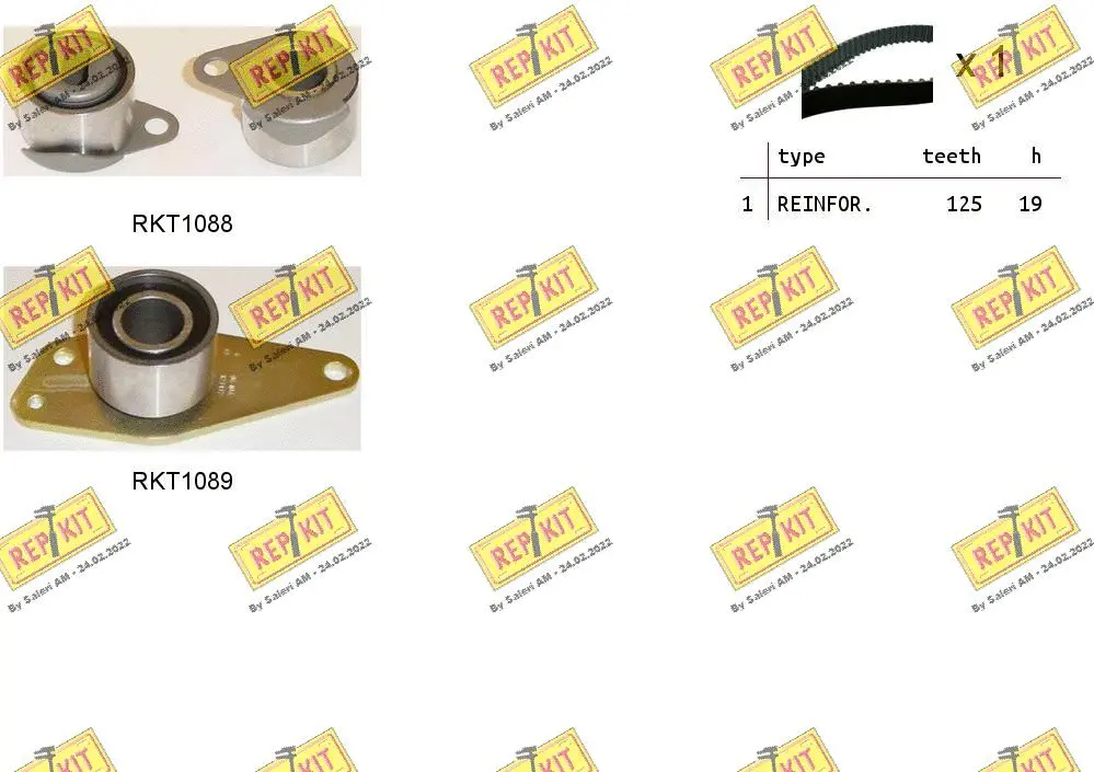 Timing Belt Kit (RKTK0875)