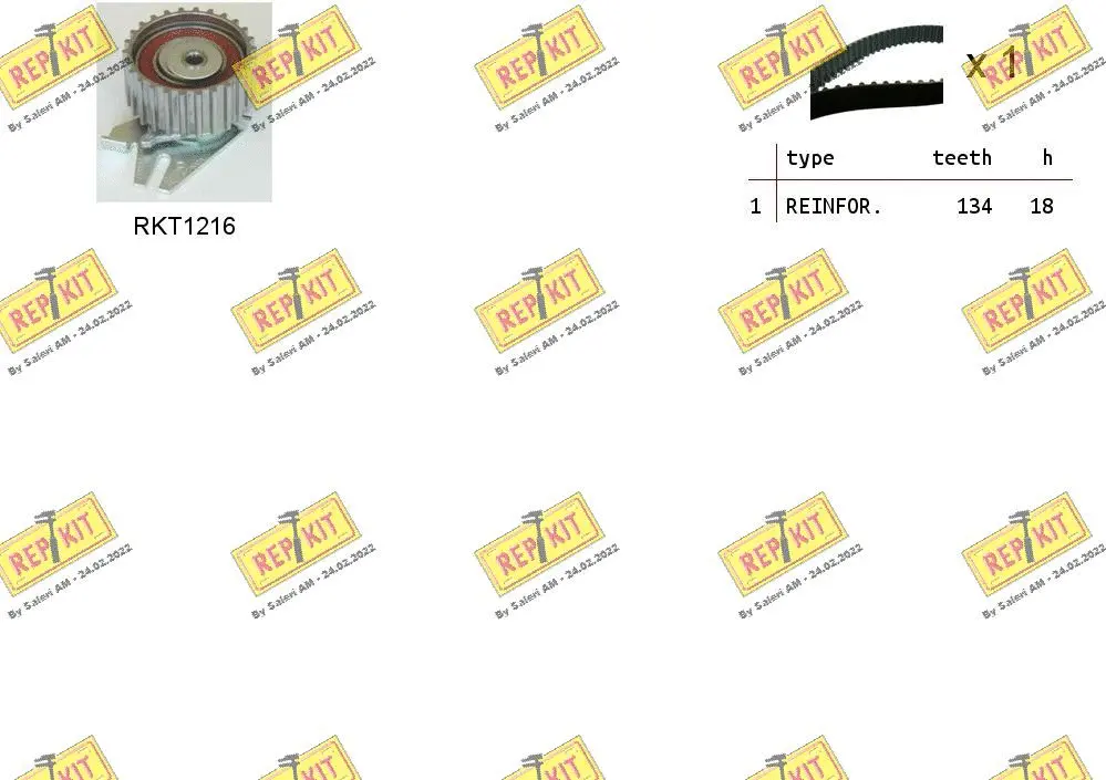 Timing Belt Kit (RKTK0903)