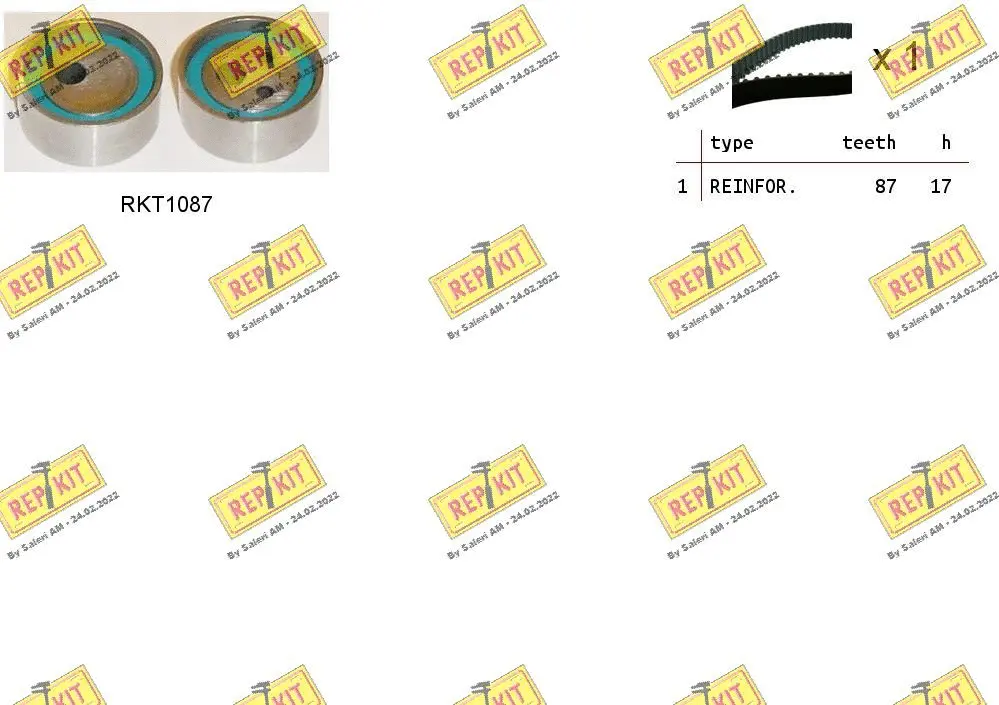 Timing Belt Kit (RKTK0818)