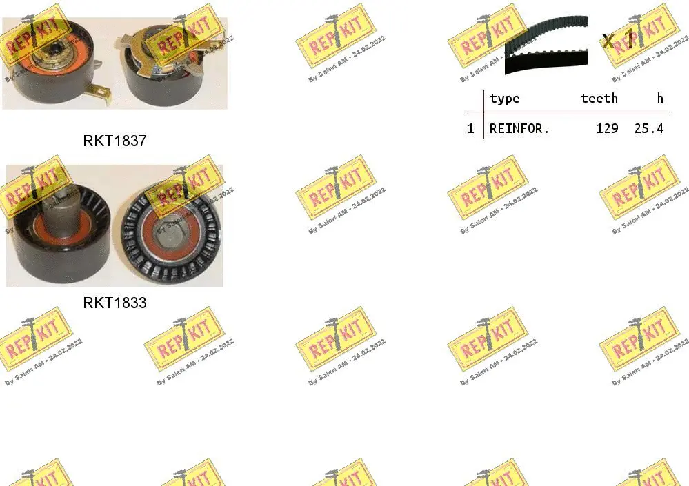 Timing Belt Kit (RKTK1031)