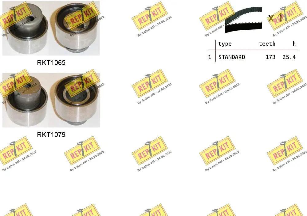 Timing Belt Kit (RKTK1001)