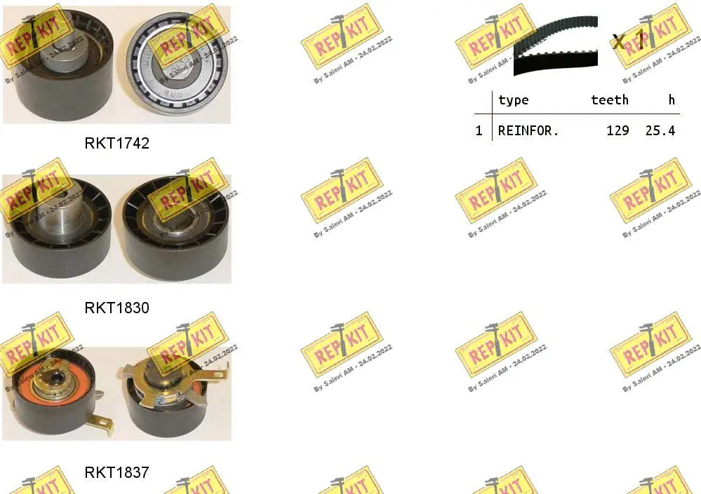 Timing Belt Kit (RKTK1030)