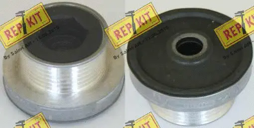 Alternator Freewheel Clutch (RKT2720)