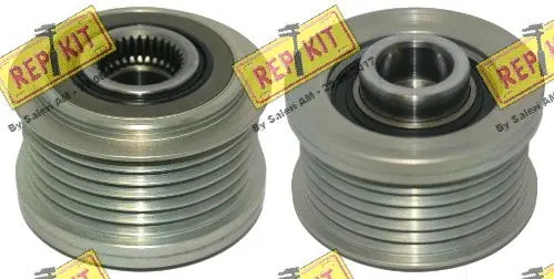 Alternator Freewheel Clutch (RKT3805)