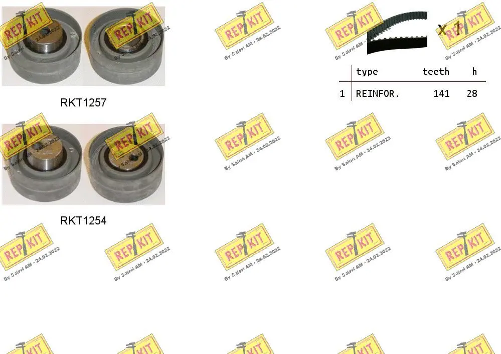 Timing Belt Kit (RKTK1018)
