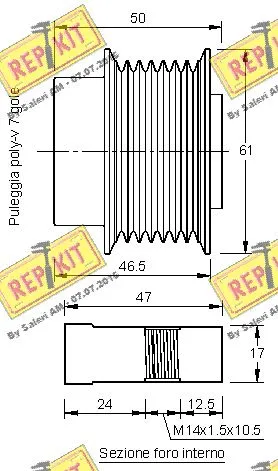 Alternator Freewheel Clutch