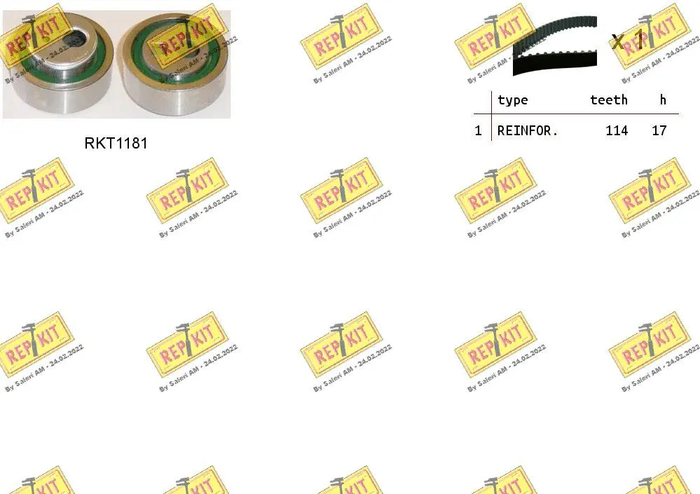 Timing Belt Kit (RKTK1022)
