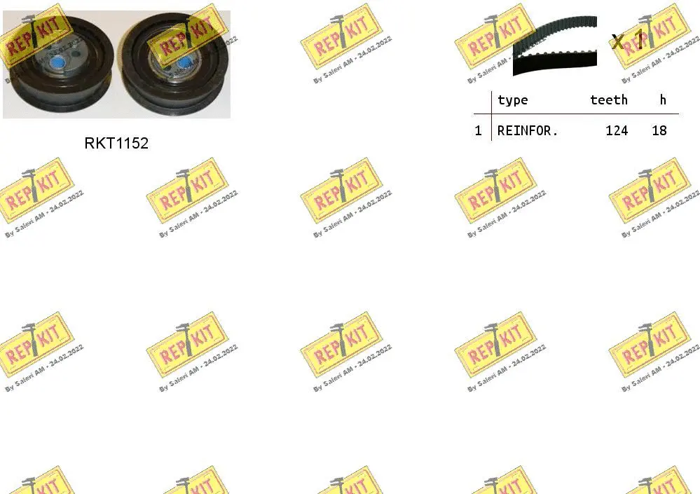 Timing Belt Kit (RKTK1025)