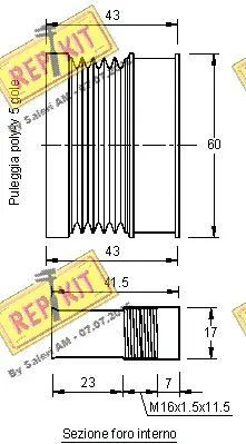 Alternator Freewheel Clutch