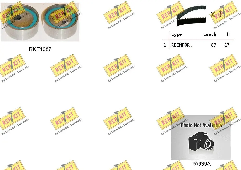 Water Pump & Timing Belt Kit (RKTK0818PA)