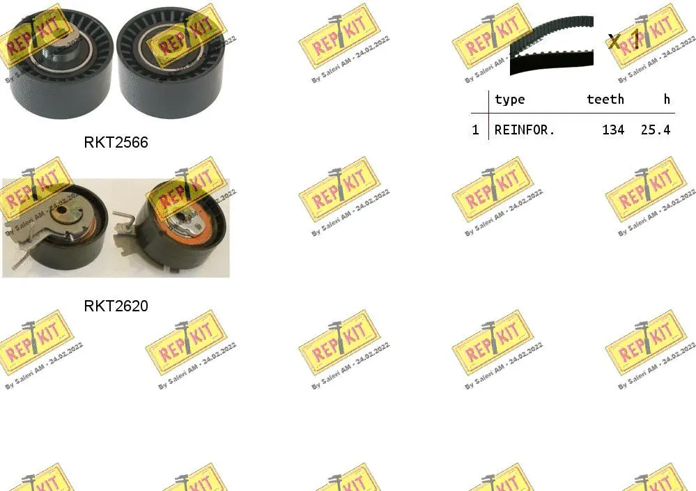 Timing Belt Kit (RKTK1079)