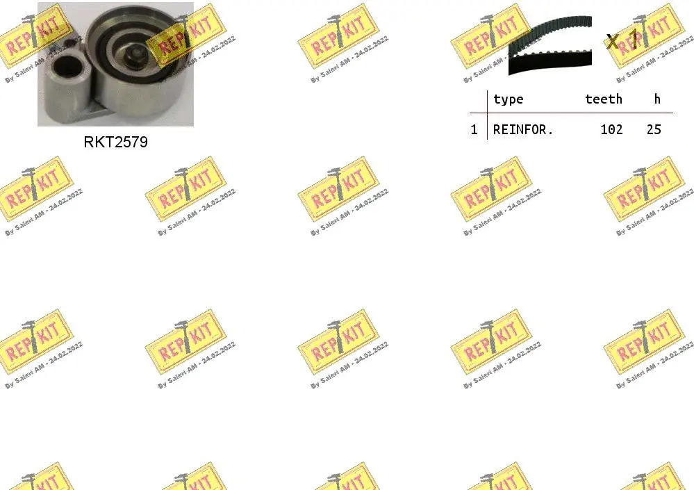 Timing Belt Kit (RKTK1065)