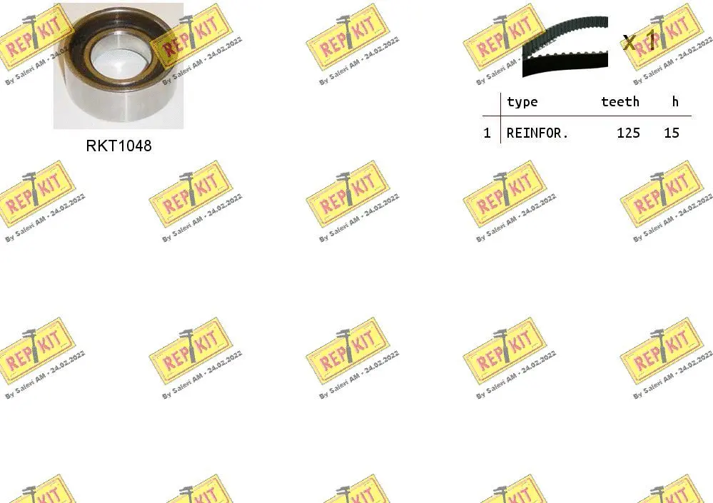 Timing Belt Kit (RKTK0856)