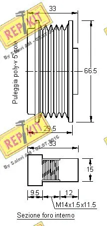 Alternator Freewheel Clutch