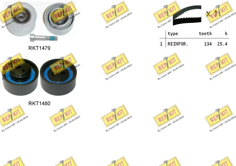 Timing Belt Kit (RKTK1029)