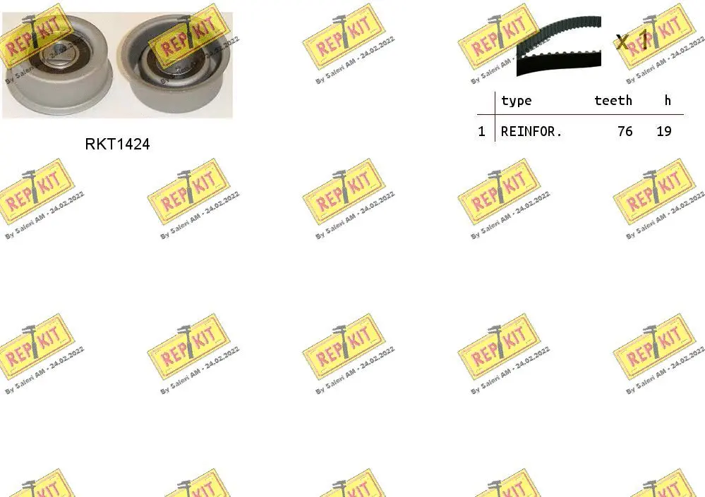 Timing Belt Kit (RKTK0971)