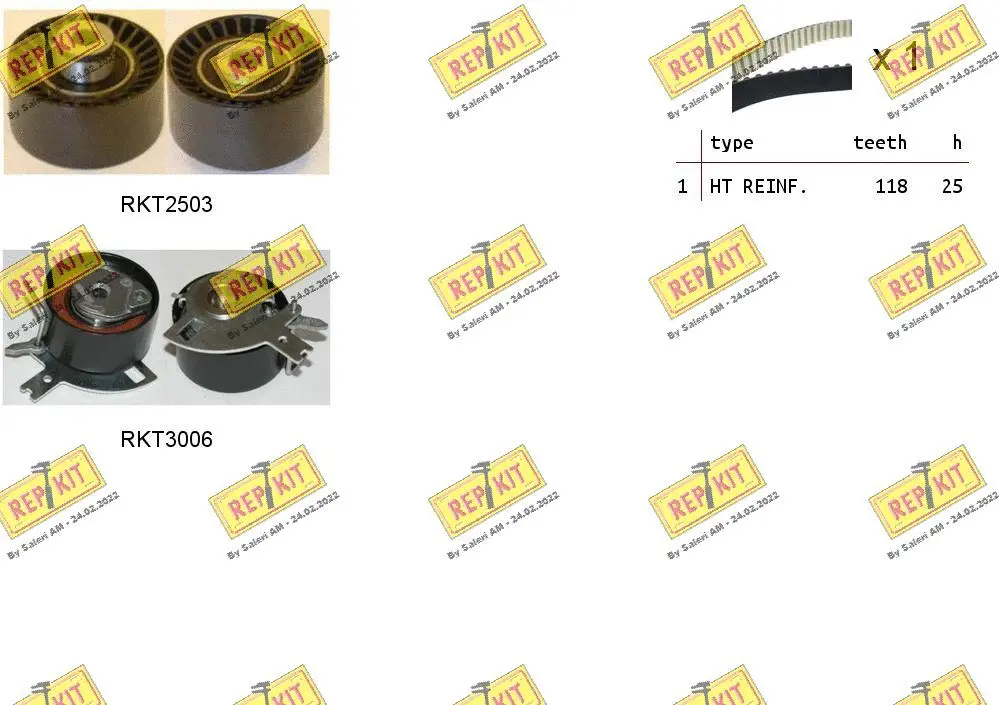 Timing Belt Kit (RKTK1075)