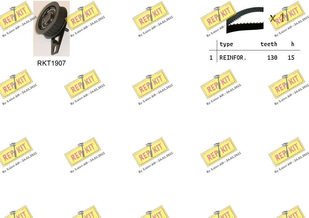 Timing Belt Kit (RKTK1099)
