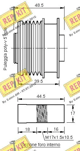 Alternator Freewheel Clutch