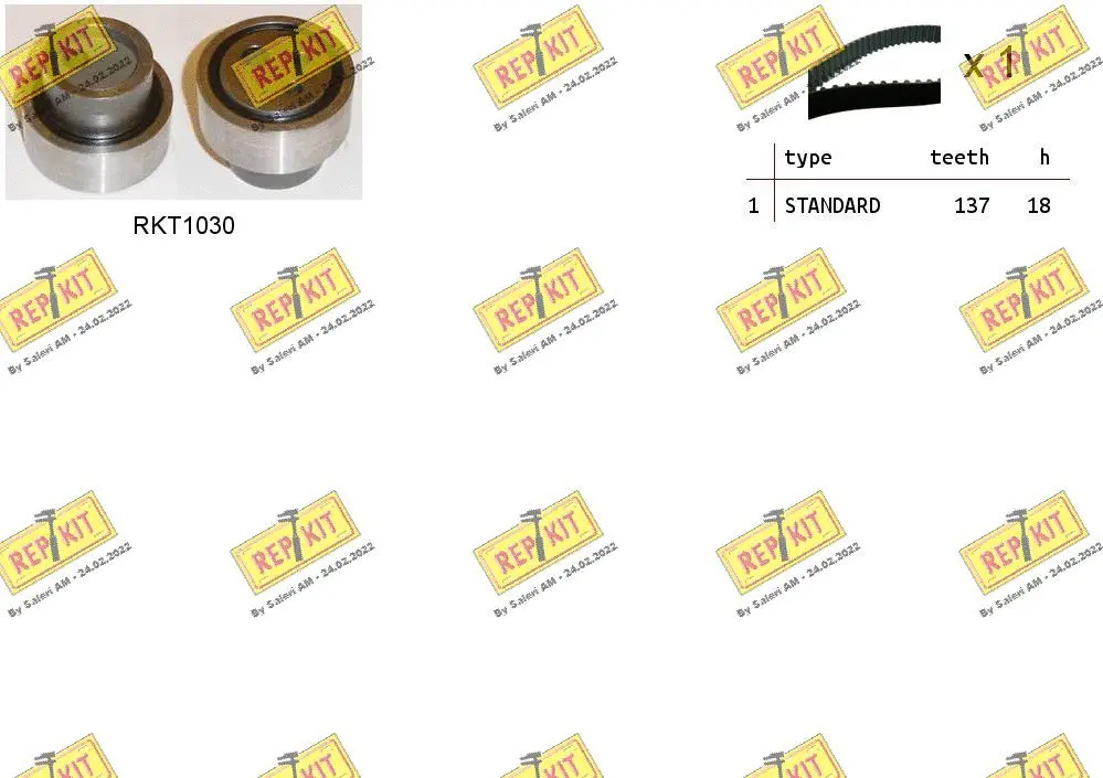 Timing Belt Kit (RKTK0981)