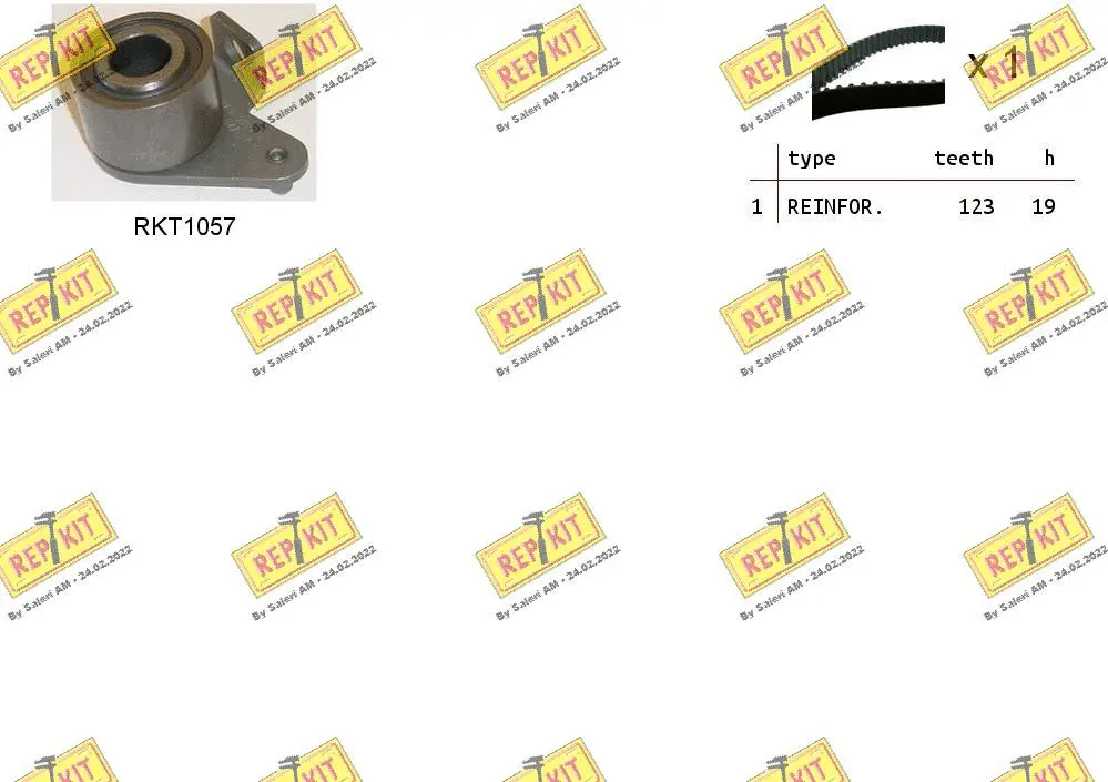 Timing Belt Kit (RKTK1010)