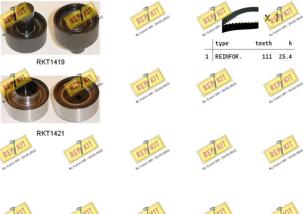 Timing Belt Kit (RKTK1005)
