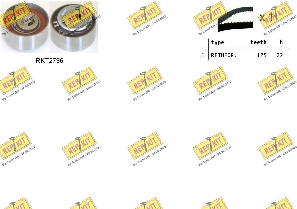 Timing Belt Kit (RKTK1063)