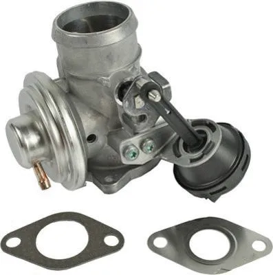 EGR Valve (CGR4621)