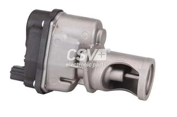 EGR Valve (CGR5382)