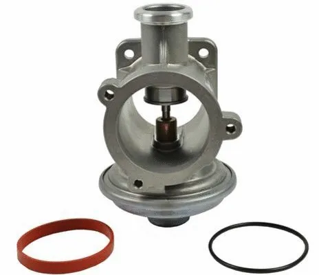 EGR Valve (CGR4923)