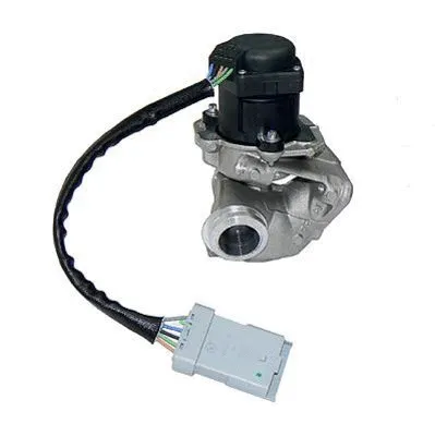 EGR Valve (CGR4605)