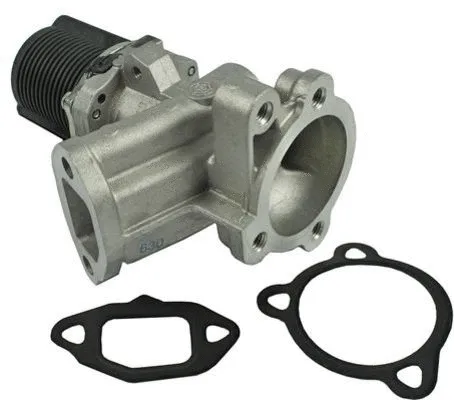 EGR Valve (CGR4830)