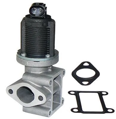 EGR Valve (CGR4648)