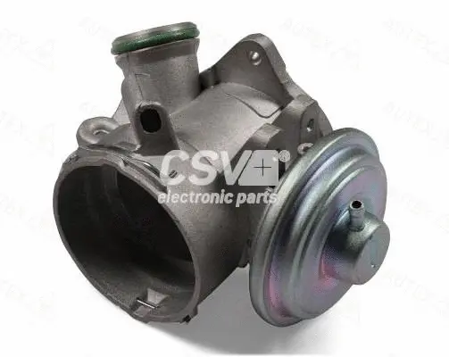 EGR Valve (CGR5273)