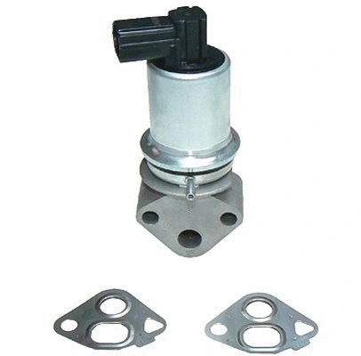 EGR Valve (CGR4619)