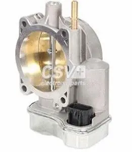 Throttle Body (CCM8207)