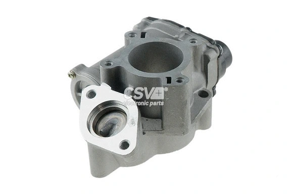 EGR Valve (CGR4817C)
